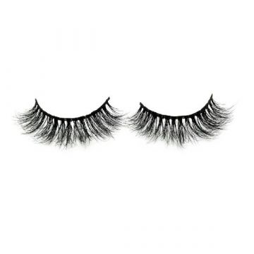 Ayesha Sabina Lash It Classic Collection - YOUR DAY TO SHINE